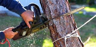Best Leaf Removal  in Wurtsboro, NY