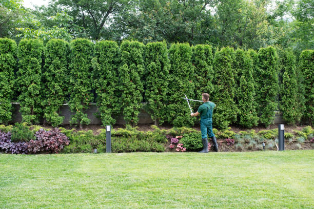 Best Arborist Consultation Services  in Wurtsboro, NY